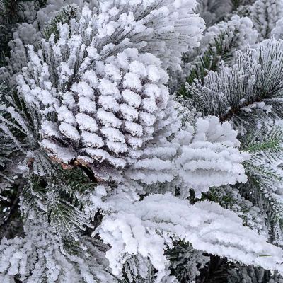 Albero di Natale innevato modello Arves H180 cm